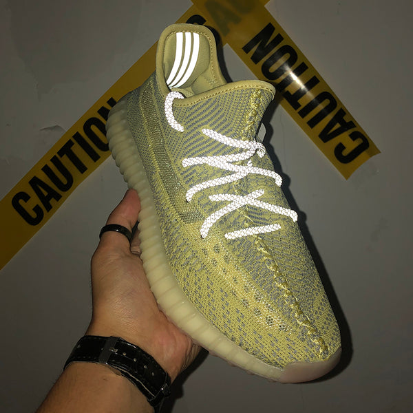 Yeezy Boost 350 V2 Antlia Shoes