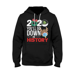 2020 You'll Go Down In History Funny 2D Pullover Hoodie Christmas Gift Ideas